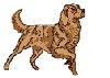 chien.gif