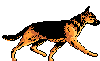 chien21.gif