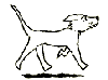 chien3.gif