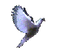oiseau15.gif