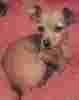 c9.jpg
