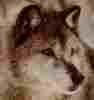 l10.JPG