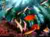 NGM1998_03p10-1.jpg