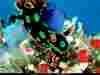 NGM1999_01p24-5.jpg