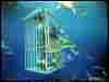 ngm1998_04p70.jpg